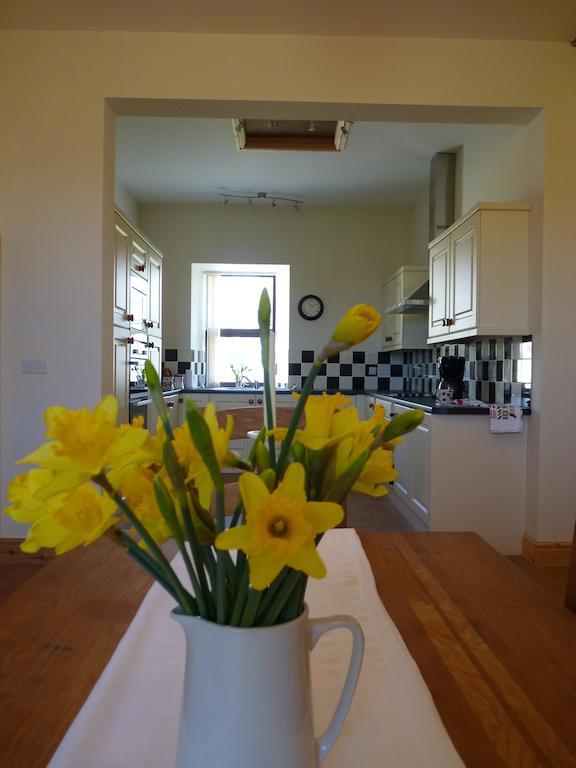 Bed and Breakfast Old Police House à Haverfordwest Extérieur photo